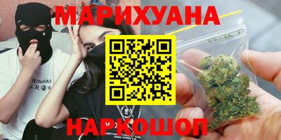крисы Будённовск