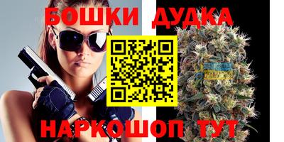 крисы Будённовск