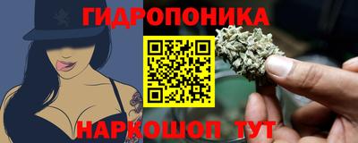 крисы Будённовск