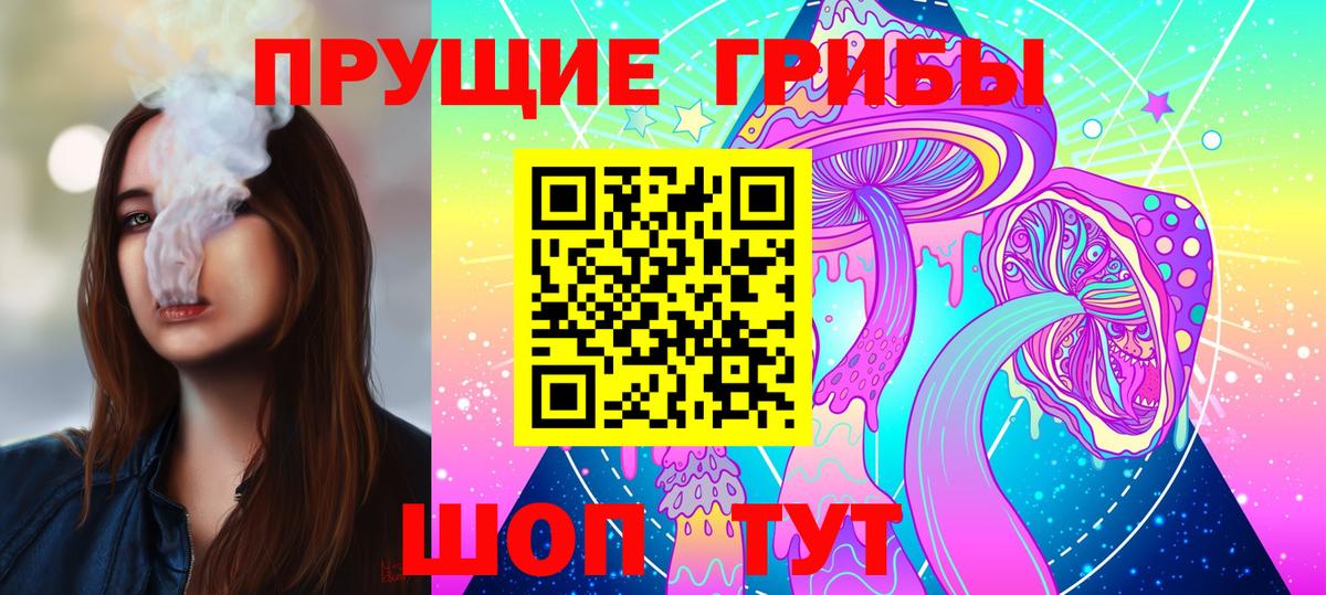 Североуральск  Псилоцибиновые грибы Cubensis  Вход с VPN 
